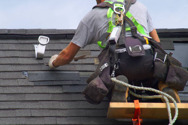 Best Metal Roofing Contractor  in Point Roberts, WA