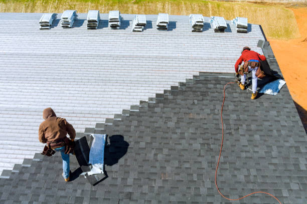 Best Roof Gutter Cleaning  in Point Roberts, WA