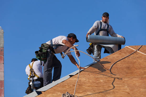 Best Local Roofing Companies  in Point Roberts, WA