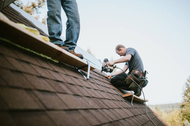 Professional Roofing Contractor in Point Roberts, WA